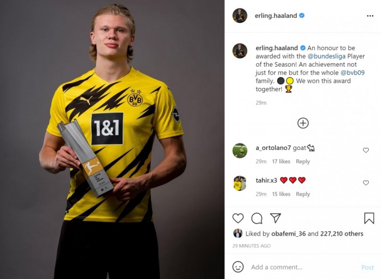 大概会成为 大概会成为